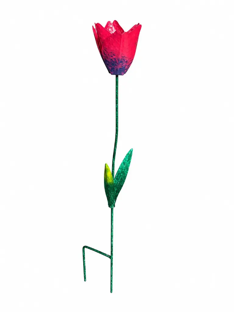 MD16265_01.webp
