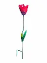 MD16265_01.webp