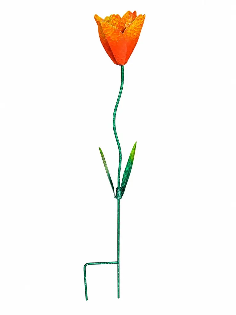 MD16266_01.webp