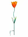 MD16266_01.webp