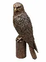 B1585_01.webp