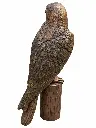 B1585_03.webp