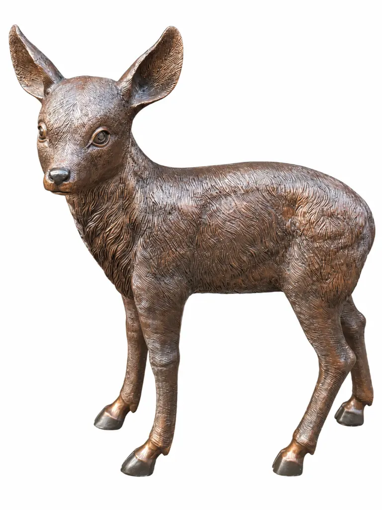 B482-1_02.webp
