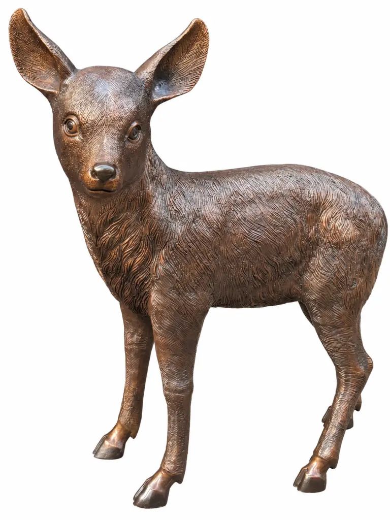 B482-1_01.webp