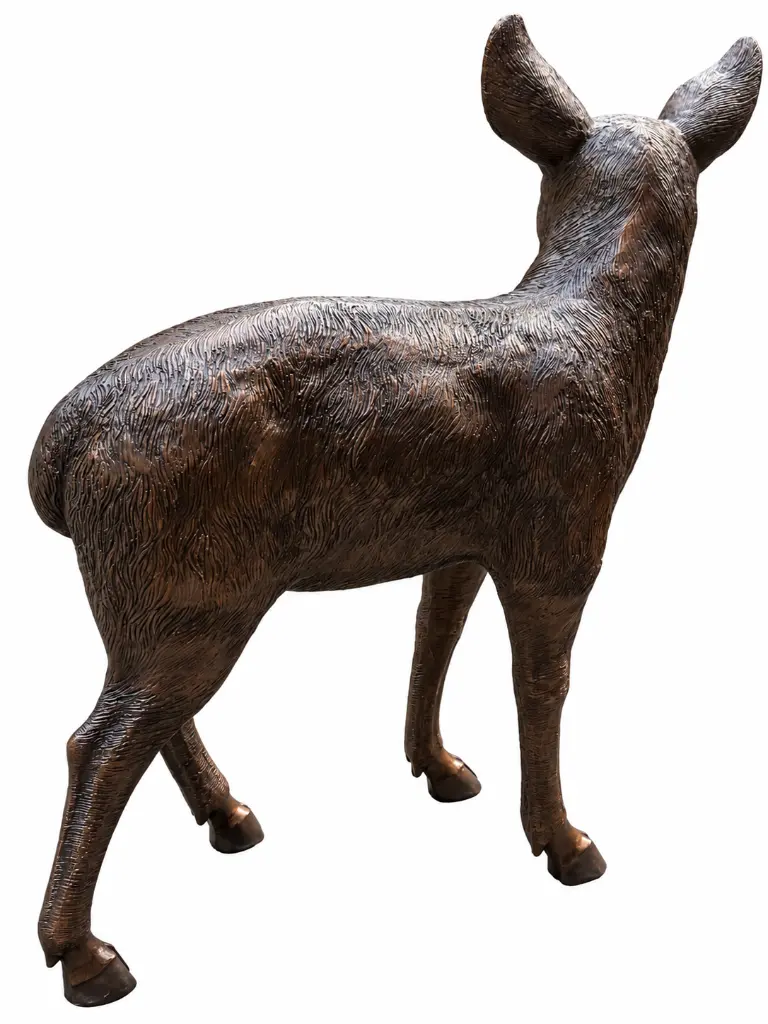 B482-1_03.webp