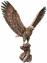 B1586_01.webp