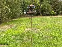 MD17028.webp