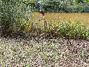 MD17031_03.webp