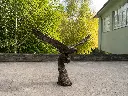B1574 (1).webp