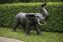 B1560.webp
