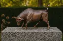 B1410_01.webp