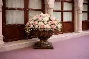 B425 (1).webp