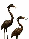 B97240_02.webp