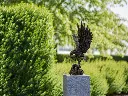 BS1550B_02.webp