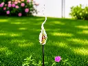 GD30243.webp