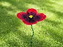 MD16267.webp