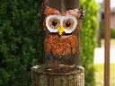 MD16249.webp