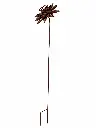 MD60013_02.webp