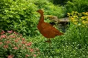 MD70126.webp