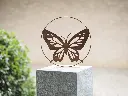 MD14244.webp