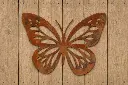 MD14229.webp