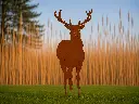 MD14223.webp
