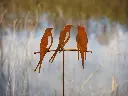 MD14210.webp