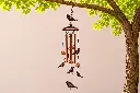 MD13011.webp