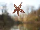 MD14124.webp