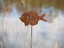 MD14123.webp
