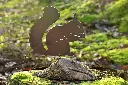 MD14068.webp