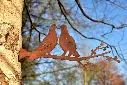 MD14065.webp