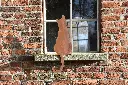 MD14048.webp