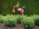 MD16223.webp