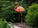 MD16221.webp