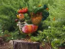 MD16040.webp
