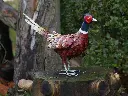 MD18345.webp