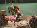 MD16045.webp