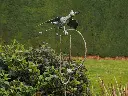 MD17917 (1).webp
