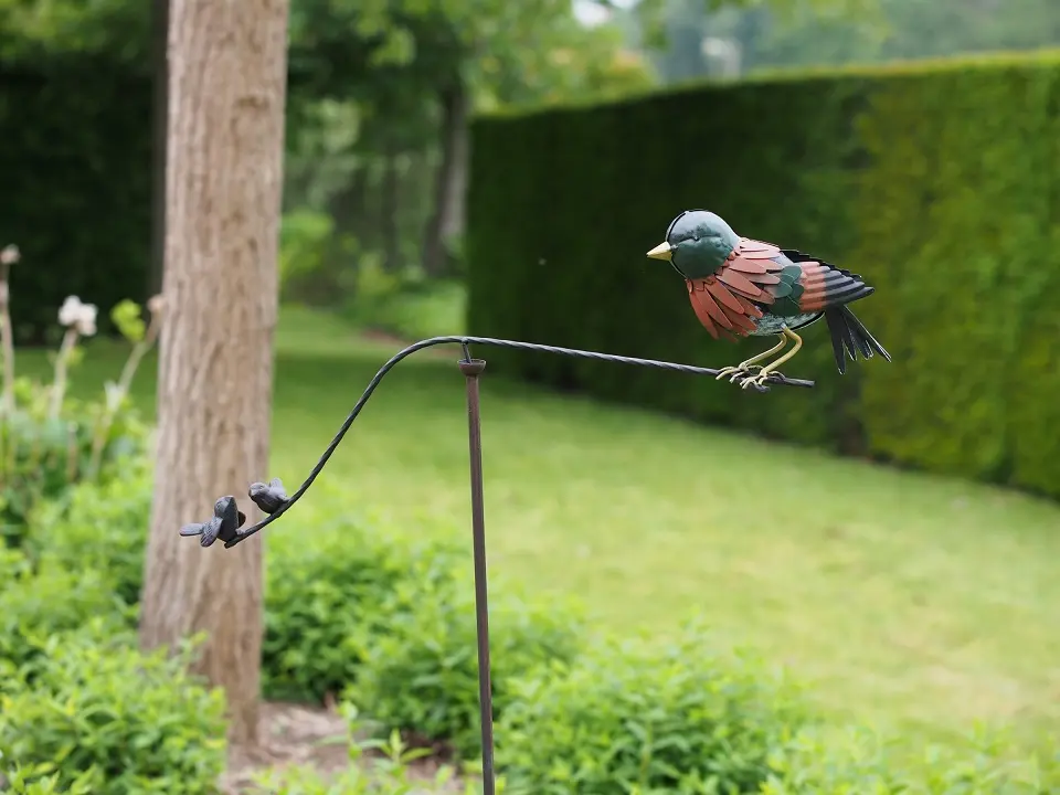 MD17862 (1).webp