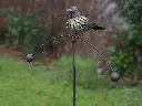 MD17858 (1).webp