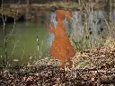MD14200.webp