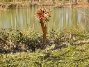 MD14199.webp