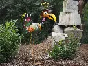 MD16126.webp