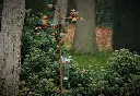 MD17985 (1).webp