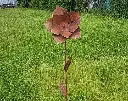 MD14156.webp