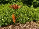 MD14161.webp