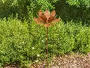 MD14159.webp