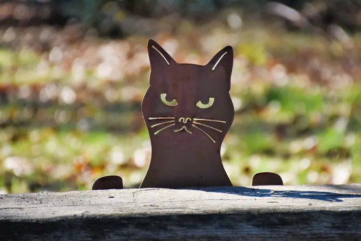 MD14150.webp