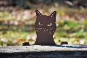 MD14150.webp